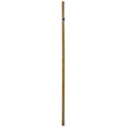 THERMWELL WM100C/20 Carpet Tack Strip, 20per Pack - 2488156