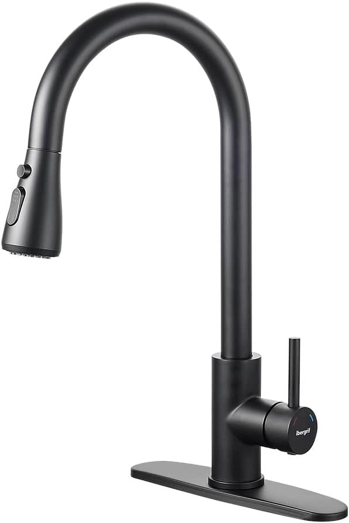 THESG-Black Kitchen Faucet with Pull Down Sprayer, Kitchen Sink Faucets ...