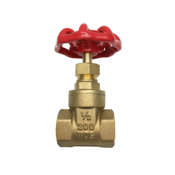 THEWORKS Heavy Pattern Brass Threaded Gate Valve, 1/2" FIP x FIP