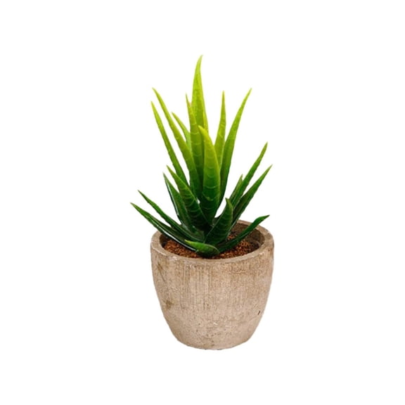 THHEIC Artificial Succulents in Pots Set, Small Fake Agave Plants for Boho Bathroom, Bedroom, Coffee Table, and Office Farmhouse Decoration, Low Maintenance