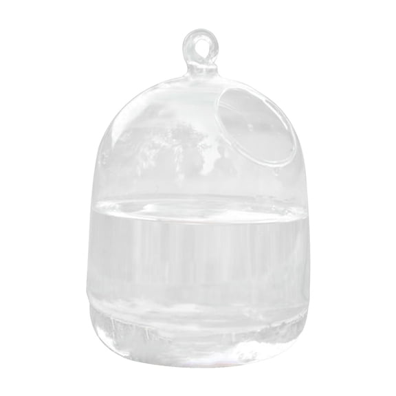 THHEIC Creative Hanging Glass Fish Bowl, Small Transparent Hydroponic Vase and Decorative Tank, Unique Living Room and Office Ornament, 5.9x3.9 Inch Size