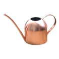 thumbnail image 1 of THHEIC Metal Indoor Plant Watering Can, 500ml Stainless Steel Small Water Pot with Long Spout, Mini Garden Watering Can with Comfort Grip for Indoor Plants, Office Desk, and Balcony Flowers, 1 of 9