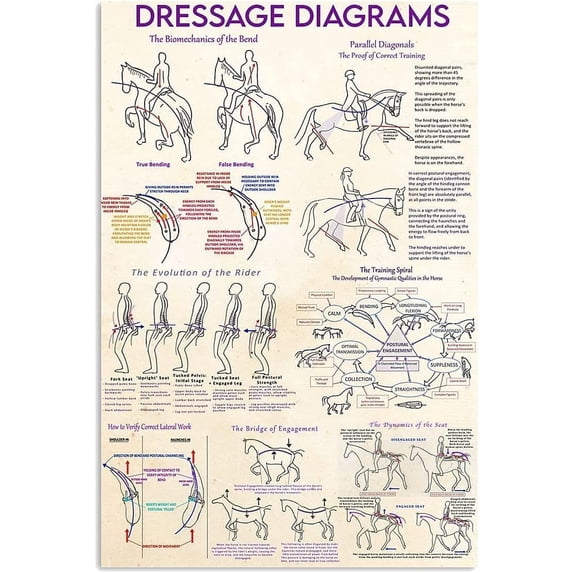 THIYOTA Puzzles 300 PCS Horse Training Knowledge Posters Cowboy Guide Posters Farm ClubClassroom Office Studio Plaque