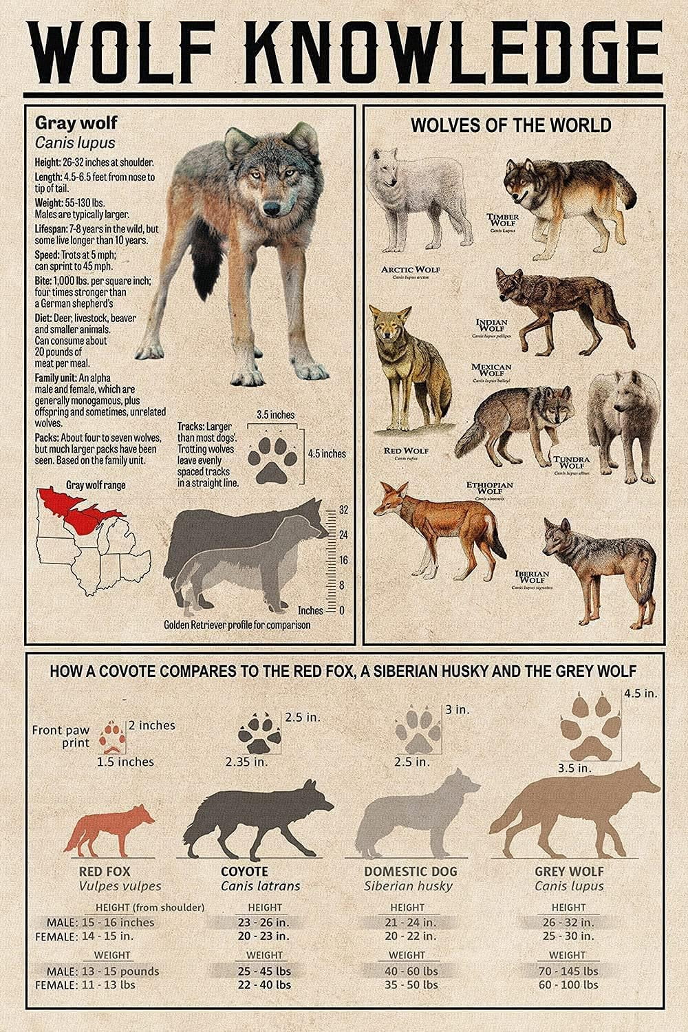 Wolf Knowledge THIYOTA Puzzles 300 PCS Wolf Knowledge Wolf Knowledge Posters Retro ...