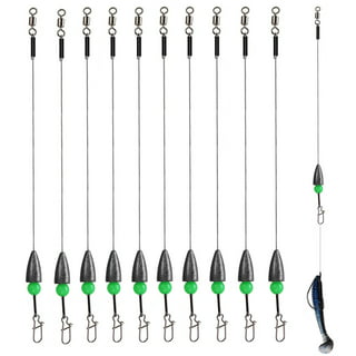 Bullet Weight Fishing Rig