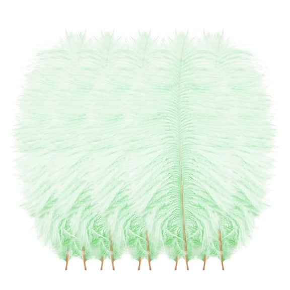 THLKIF 10 PCS Feathers Bulk Soft Natural Feathers for Crafts Centerpieces Party Wedding Home Decorations Dream Catchers Vases,Big Floating Plume Hair Craft Decoration Wedding Plumage