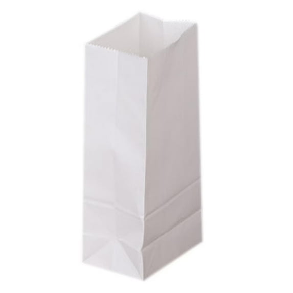 THLKIF 50-Pack Medium White Kraft Paper Bags, Bulk 5.5x9x18cm Gift Bags, Perfect for Birthday Party Favors, Grocery, Retail Shopping, and Goody Craft Uses