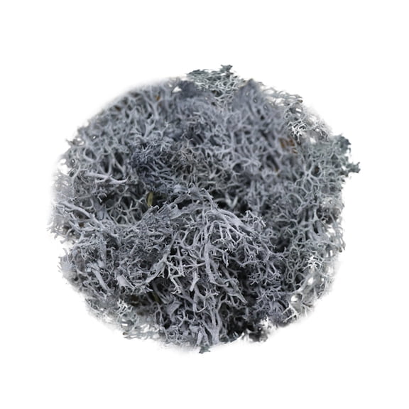 THLKIF Fake Moss for Plants Indoor,Realistic Artificial Royal Blue Moss Preserved Moss for Crafts,Reindeer Moss for DIY Table Centerpieces,Terrarium Decor,Fairy Garden Accessories