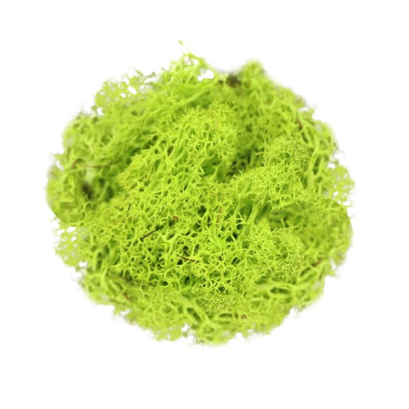 THLKIF Fake Moss for Plants Indoor,Realistic Artificial Royal Blue Moss Preserved Moss for Crafts,Reindeer Moss for DIY Table Centerpieces,Terrarium Decor,Fairy Garden Accessories