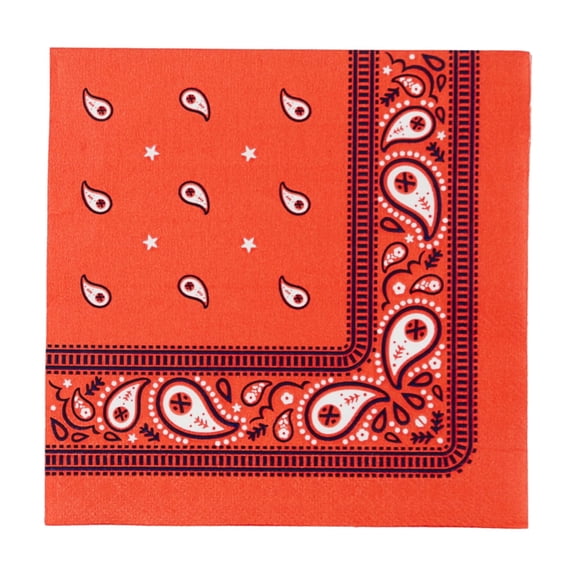 Thomas Friends x Bonjour Fte Red Bandana Large Paper Napkins, Disposable Party Supplies, 20 Count, Lunch Size, Picnic, Birthday