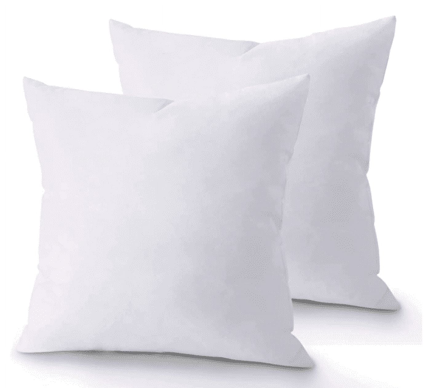 White 18x18 Down Alternative Throw Pillow Inserts - Set of 2