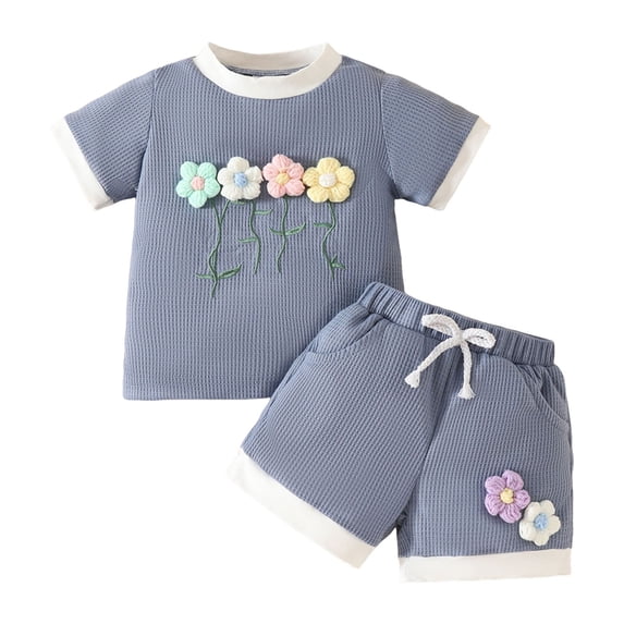 THSXS Summer Baby Girl Clothes 18 Month Girls Clothes Toddler Baby Girl Outfits Summer Clothes Infant Spring Short Sleeve Shirt Tops Cute Shorts Set
