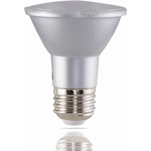 THTGDW-- S29405 - Light Bulb - Clear