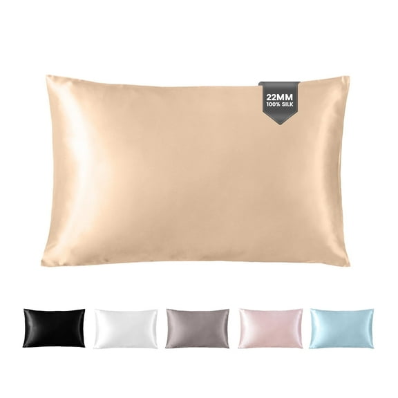THXSILK Hyaluronic Acid(HA) Silk Pillowcase for Hair and Skin, 22 Momme Mulberry Silk Pillowcase with Hidden Zipper, Both Side 100% Pure 6A+ Mulberry Silk, Queen Size(20"X30"), Champagne