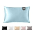 thumbnail image 1 of THXSILK Hyaluronic Acid(HA) Silk Pillowcase for Hair and Skin, 22 Momme Mulberry Silk Pillowcase with Hidden Zipper, Both Side 100% Pure 6A+ Mulberry Silk, Standard Size(20"X26"), Light Blue, 1 of 8