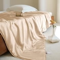 thumbnail image 1 of THXSILK Luxury Mulberry Silk Blanket, 100% Natural Long Strand Silk Filled Comforter, Silk Duvet for Spring Summer Fall & Winter Blanket, All Seasons, Queen Size(87"x90"), Champagne, 1 of 9