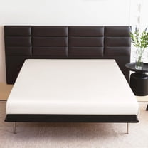 THXSILK Pure Mulberry Silk Fitted Sheet, 22 Momme Grade 6A Mulberry Silk, 16'' Deep Pocket, Luxury Soft Seamless Silk Bottom Sheet