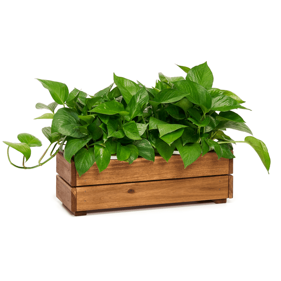 THYOI Wooden Planter Box, Storage Box 17”L x6”W x5.5”H with Crate Style, Acacia Wood Flower Box, Rustic Rectangle Box Planter for Planting, Decor and Storage - 3 Colors (Golden Walnut)