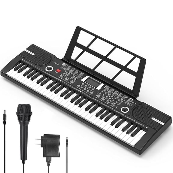 TIANLAIMEI Portable 61 Keys Electric Digital Piano Organ Musical Electronic Keyboard Instrument w/Mic,Black