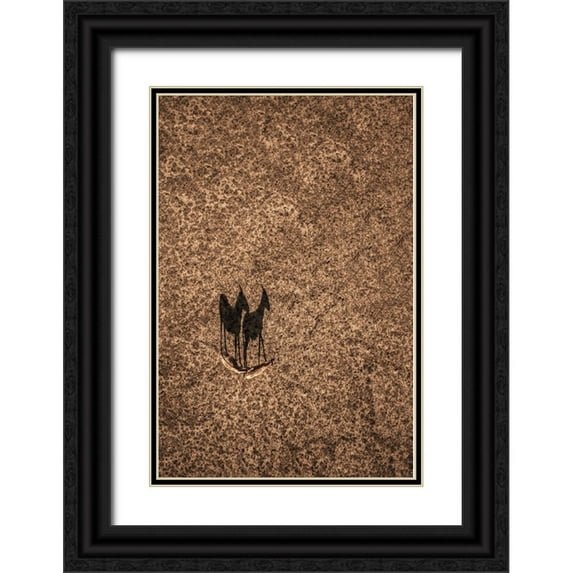 TIANQI 17x24 Black Ornate Wood Framed with Double Matting Museum Art Print Titled - Follow Like A Shadow