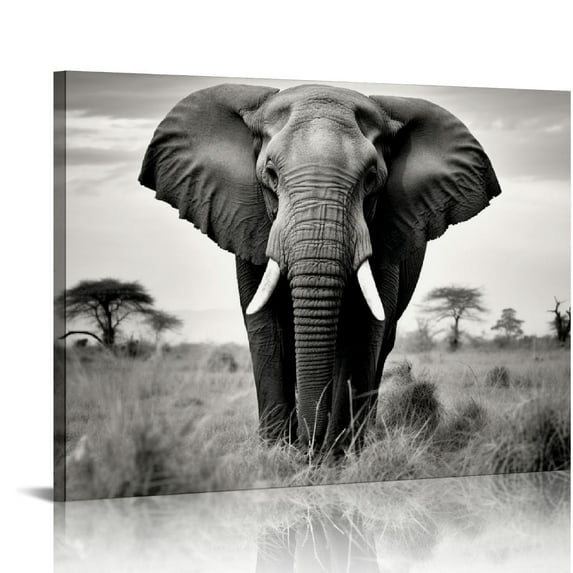 TIAOTIAOHOU Canvas Wall Art: Wild Animal Portrait Picture African Landscape Painting Rustic Gray Woodland Wildlife Prints Modern Nature Dark Wilderness Scenery Photo Artwork for Bedroom