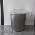 thumbnail image 1 of TICOZE Starry Night Light Smart Toilet with Bidet Built In, Modern Design For Bathroom, Auto Open/Close Seat, Foot Sensor, LED Display,Night Light, Warm Water & Dryer,Matte Grey, 1 of 6