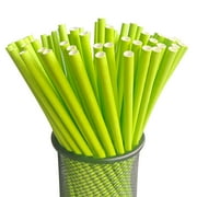 TIHLMK 25Pcs Rainbow Paper Straws for Drinking Biodegradable Disposable Straws Dessert Summer Party Supplies