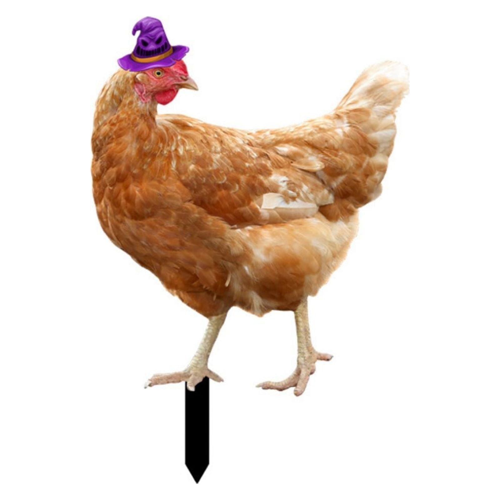 TIIFSWHS Chicken Tag with Witch Hat Garden Ground Tag Garden Cemetery