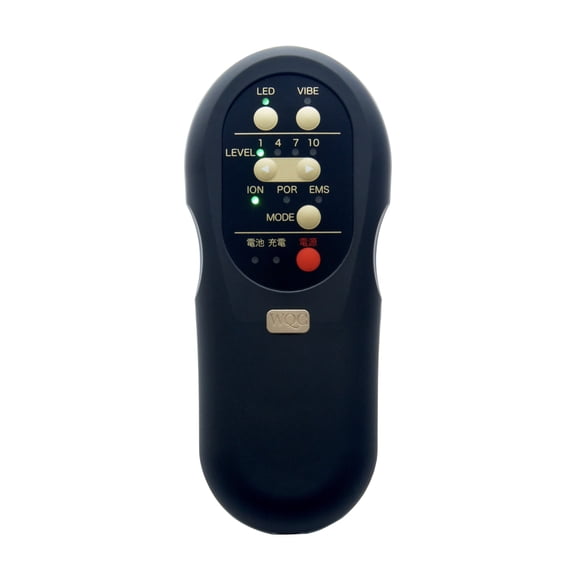 TILLET W-GEAR 2-in-1 Pro Face Scalp Beauty Device – Kawasaki City Store