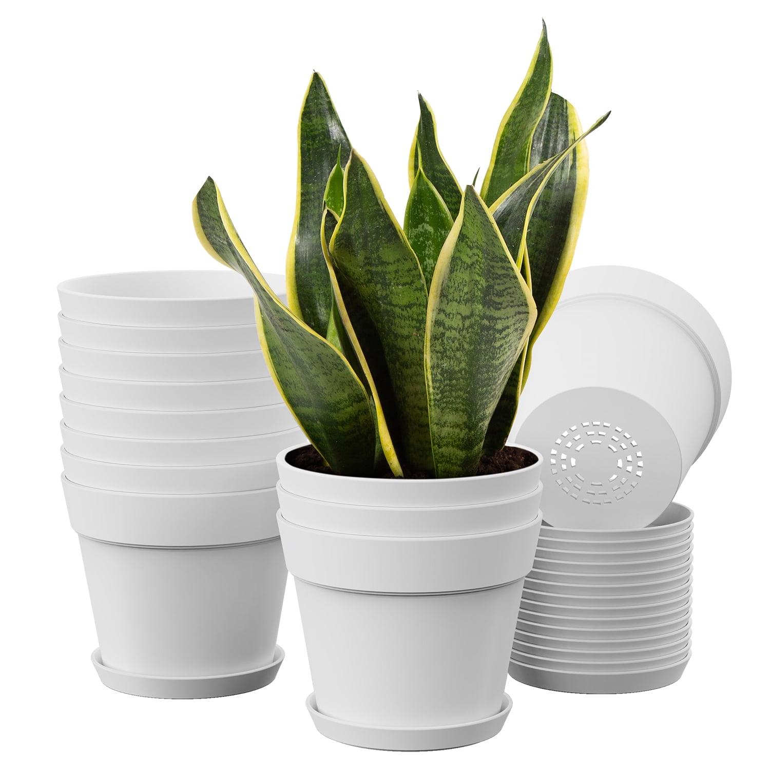 TINANA 6 inch Plastic Planters for Indoor Flower Pots 16 Pack, Heavy Duty and Stylish 6 Inch Plant Pots for Indoor Plants with Drainage Holes and Tray for Plants, Flowers-White