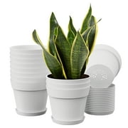 TINANA 6 inch Plastic Planters for Indoor Flower Pots 16 Pack, Heavy Duty and Stylish 6 Inch Plant Pots for Indoor Plants with Drainage Holes and Tray for Plants, Flowers-White