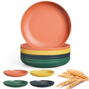TINANA Wheat Straw Plates: 10 Inch Plates Set of 8, Microwave Dishwasher Safe, Lightweight Dinner Plates for Meal, Dinner, Camping - Multi Color