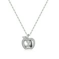 thumbnail image 1 of TINGN Dainty Teacher Apple Necklace Jewelry for Teacher Christmas Gifts Best Appreciation Gifts, 1 of 6