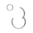 thumbnail image 1 of TINGN Nose Rings for Women Surgical Steel Hypoallergenic Hinged Small Nose Ring, 1 of 5