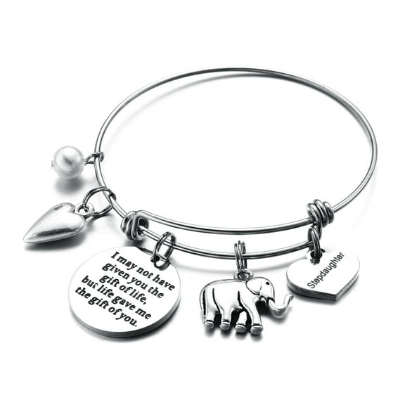 TINGN Stepdaughter Gifts from Stepmother I May Not Have Given You The Gift Of Life But Life Gave Me The Gift Of You