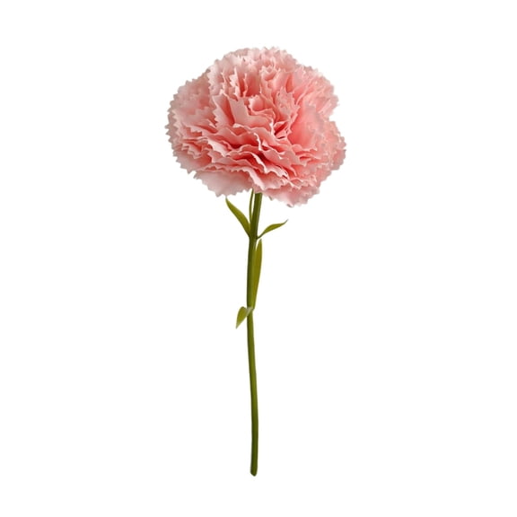 TINGXIN Artificial Carnation Bouquet for Home Table Centerpiece Decor - Realistic Flower Artificial Carnation, Style A