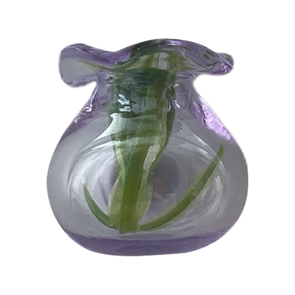 TINGXIN Samll Glass Bottle Vase Magnets for Diy Crafts Home Decor - Decorative Glass Bottle Magnet, Fridge Magnet, (#H)