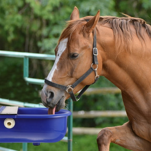 IMIKEYA Automatic Cattle Waterer Blue Plastic 1 Pcs for Livestock Watering Equipment Farm Use