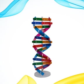 NICEXMAS DNA Double Helix Model Science Kit Educational Tool for Analytical Thinking and