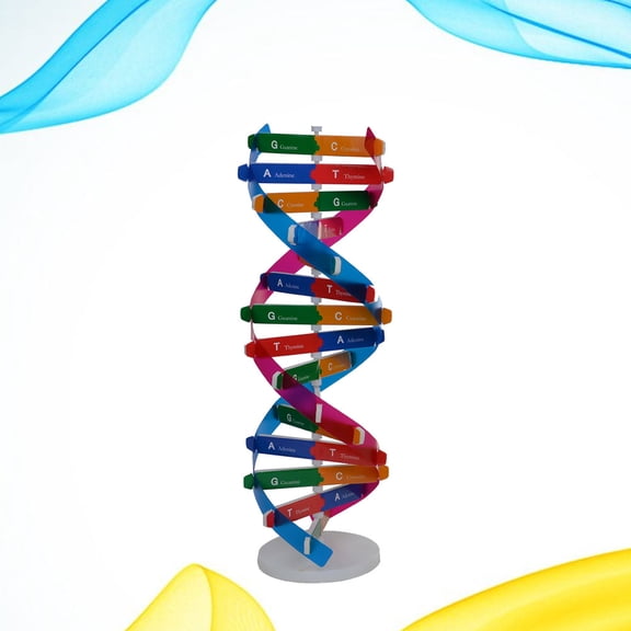NICEXMAS DNA Double Helix Model Science Kit Educational Tool for Analytical Thinking and