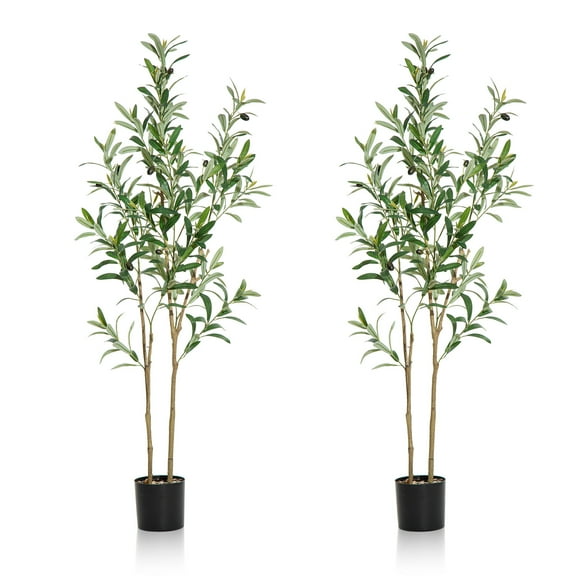 TINTEC Artificial Olive Tree, 5-Foot Silk Plant, Plastic Grower Pot, 2 Count