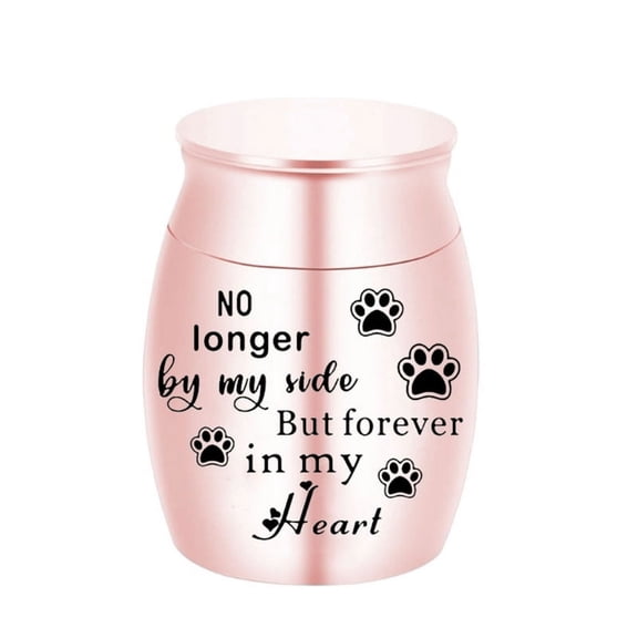 TINYSOME Pet Urns Mini Size Funeral Cremation Small Box Metal Urn Loving Memory