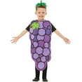 thumbnail image 1 of TIREOW Children Boy's Lightweight Outfits Sets Toddler Children Grapes Fruit Dress Interesting Clothes Show Clothes Boys' Fashion Set, 1 of 3