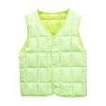 thumbnail image 1 of TIREOW Children Girl's Fashion Horse Jacket Toddler Girls Down Vest Autumn and Winter Front Buckle Solid Color Children's Vest Party Birthday School, 1 of 8