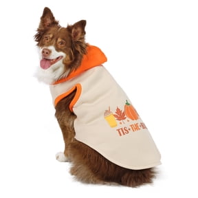 Vibrant Life Halloween Hoodie for Dogs, 'Tis the Season, Yellow and Orange, L