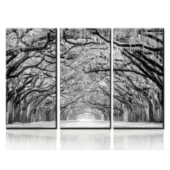 TISHIRON 3PCS Framed Canvas Wall Art Set,60"x40" Live Oak Trees are Draped with Moss Canvas Art Decor
