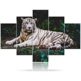 thumbnail image 1 of TISHIRON 5PCS Framed Animal Canvas Wall Art Set,60"x40" Wildlife White Tiger Landscape Canvas Art Decor, 1 of 7