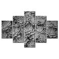 thumbnail image 1 of TISHIRON 5PCS Framed Canvas Wall Art Set,60"x40" Succulents Canvas Art Decor, 1 of 7