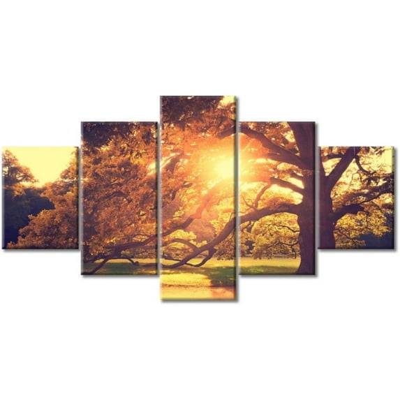 TISHIRON 5PCS Framed Forest Landscape Theme Canvas Wall Art Set,60"x32" Beautiful Towering Trees Wall Canvas Art Decor