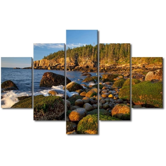 TISHIRON 5PCS Framed Natural Landscape Theme Canvas Wall Art Set,60"x40" Acadia National Park Wall Canvas Art Decor